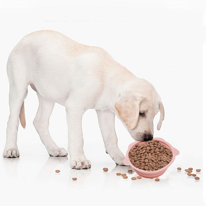 Syah Life Portable Collapsible Pet Bowl – Silicone Foldable Food & Water Bowl for Small Dogs & Cats