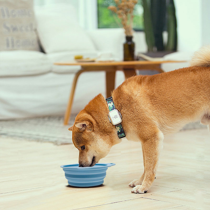 Syah Life Portable Collapsible Pet Bowl – Silicone Foldable Food & Water Bowl for Small Dogs & Cats