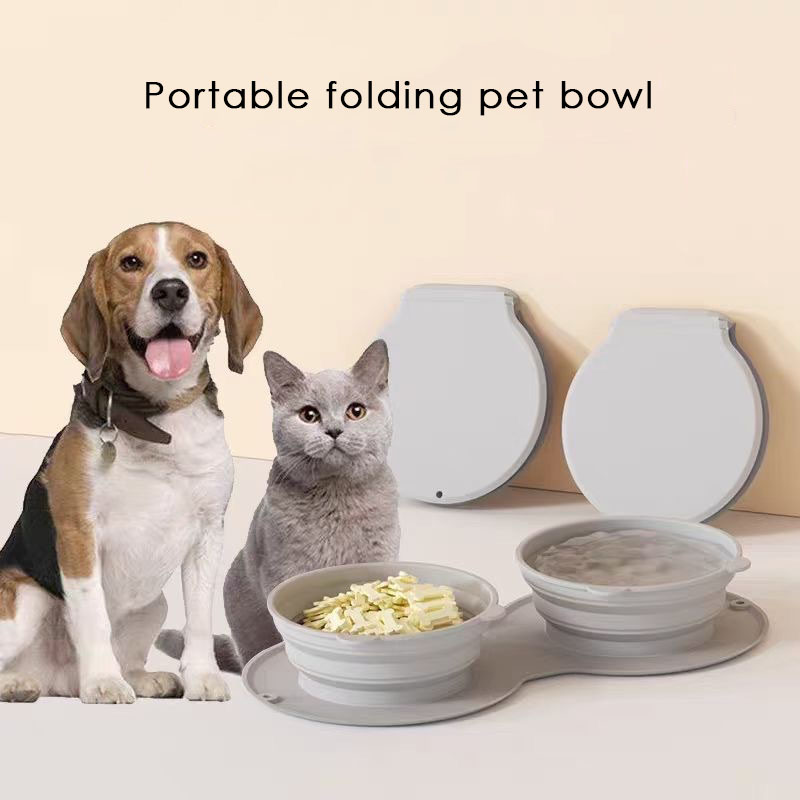 Foldable Silicone Pet Bowl | Portable Double Dog & Cat Feeder | BPA-Free, Anti-Spill Travel Bowl