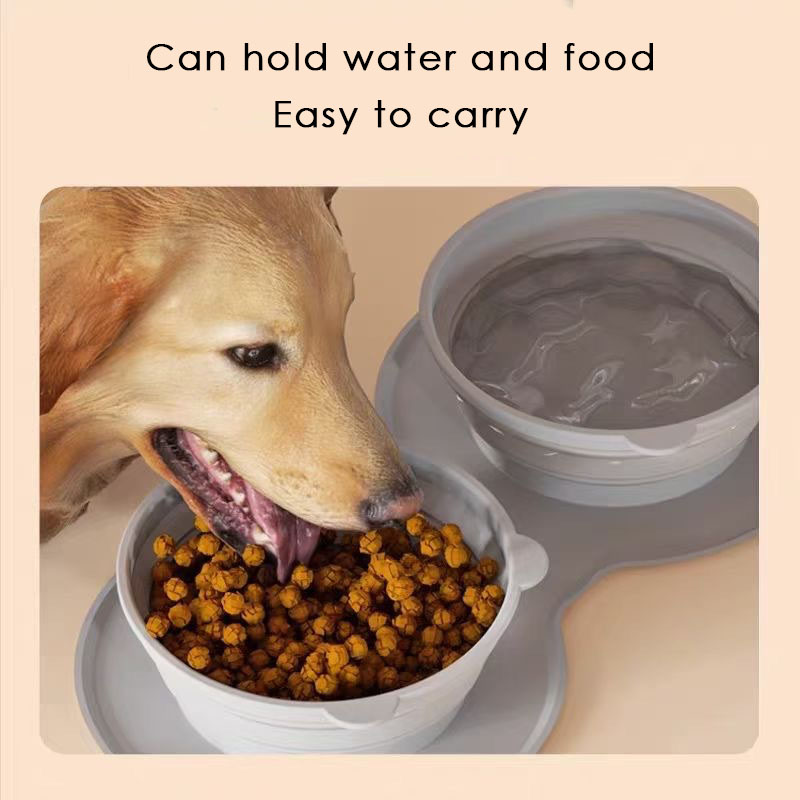 Foldable Silicone Pet Bowl | Portable Double Dog & Cat Feeder | BPA-Free, Anti-Spill Travel Bowl