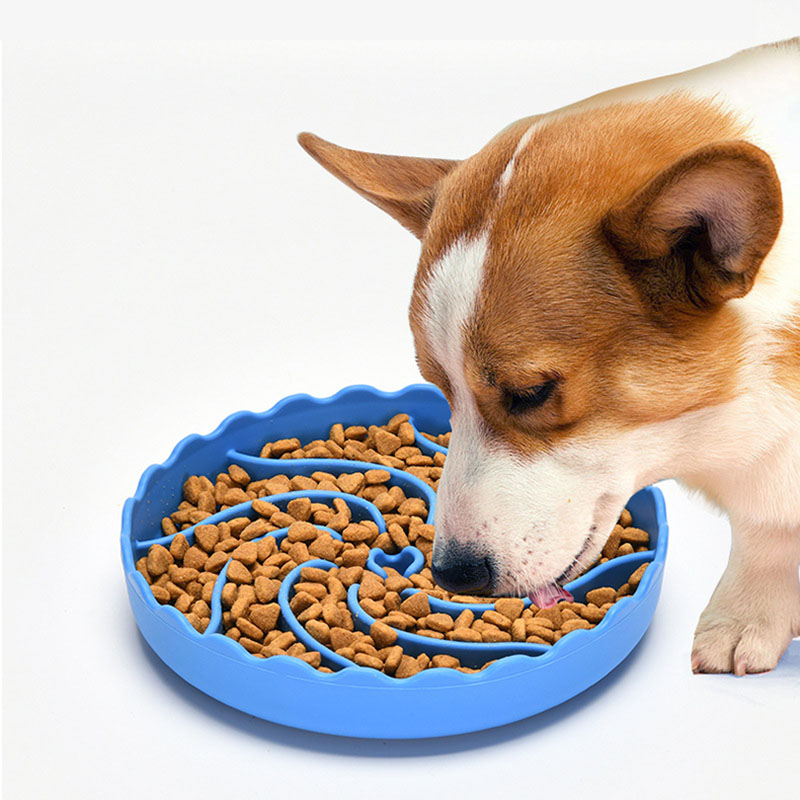 Silicone Slow Feeder Dog Bowl with Suction Cup | Anti-Choking Non-Slip Pet Feeding Bowl for Dogs