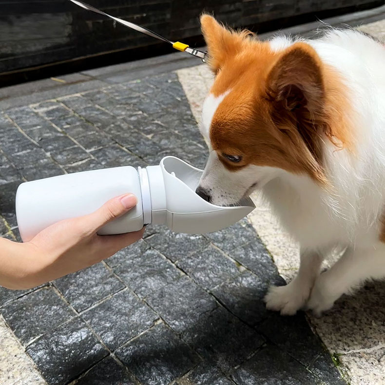 19oz/550ml BPA-Free Dog Travel Water Bottle - Foldable, Leak-Proof Silicone Design for Hiking